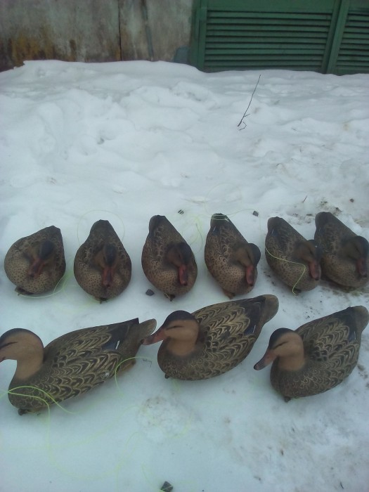 IMG_20170213_114405.jpg (553.06 КБ) Просмотров: 10343 IMG_20170213_114405.jpg