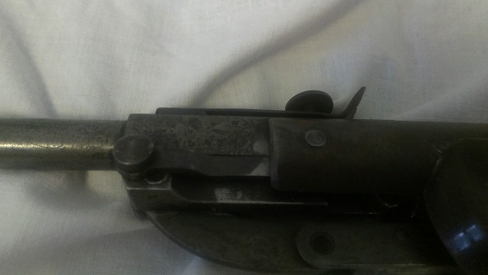 IMAG1820.jpg