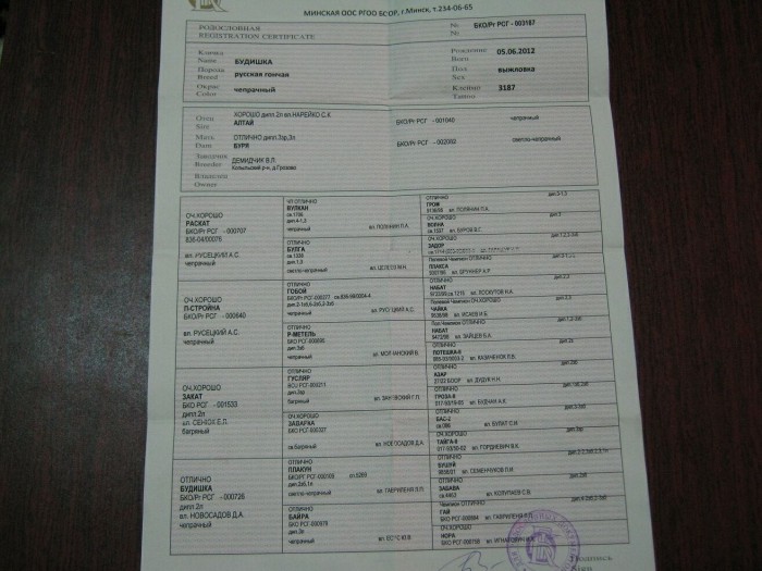 родословная.jpg (237.7 КБ) Просмотров: 1526 родословная.jpg