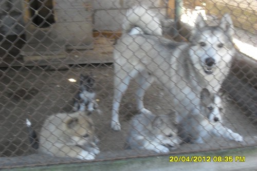 SDC12430.JPG