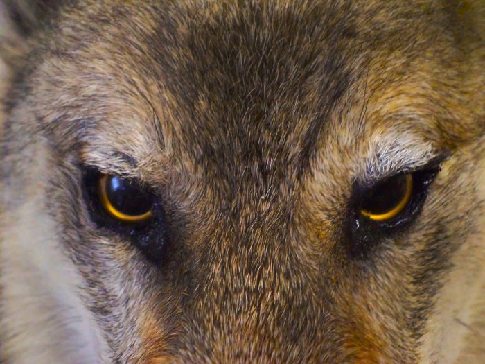 4.jpg (499.73 КБ) Просмотров: 10096 4.jpg