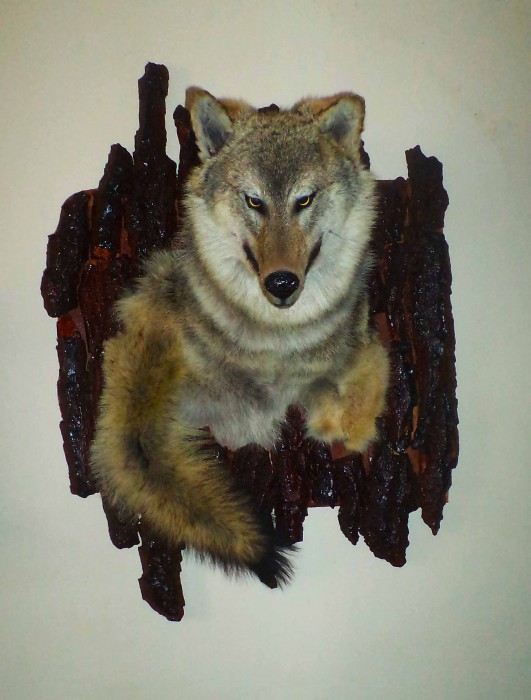 2.jpg (203.36 КБ) Просмотров: 10092 2.jpg