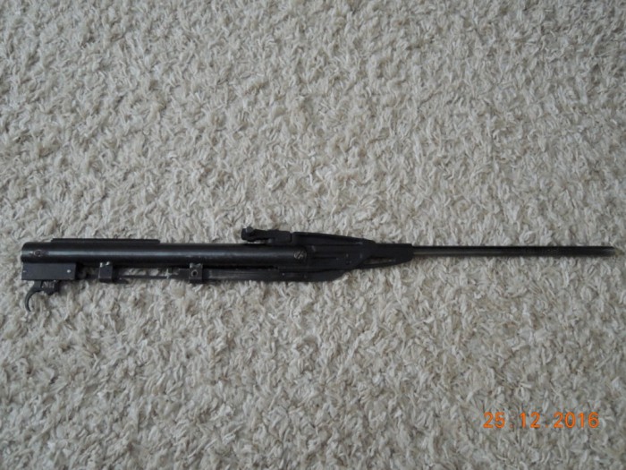DSCN5553.JPG