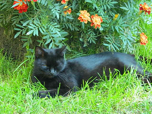DSCN0592.JPG