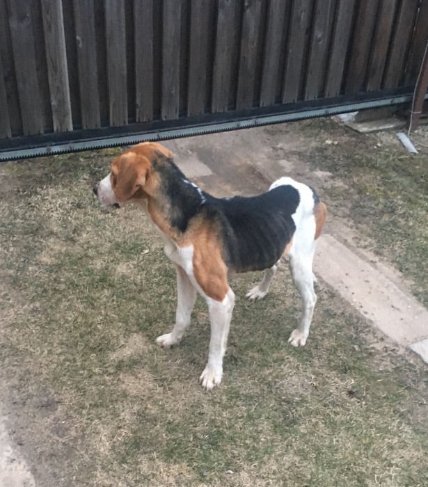 IMG_0954.JPG (1.21 МБ) Просмотров: 2492 IMG_0954.JPG