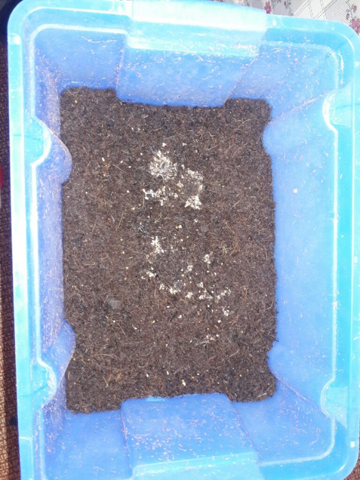 20170331_193544-768x1024.jpg (262.47 КБ) Просмотров: 8866 20170331_193544-768x1024.jpg