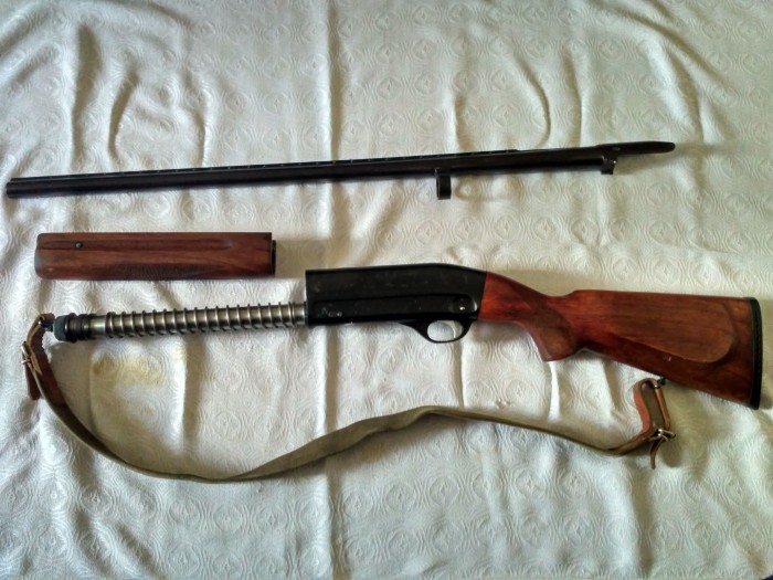 PZlqCebCIX4.jpg