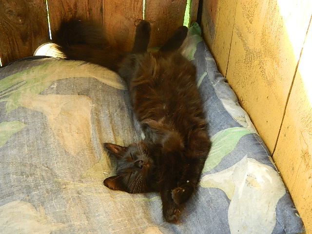 DSCN0626.JPG