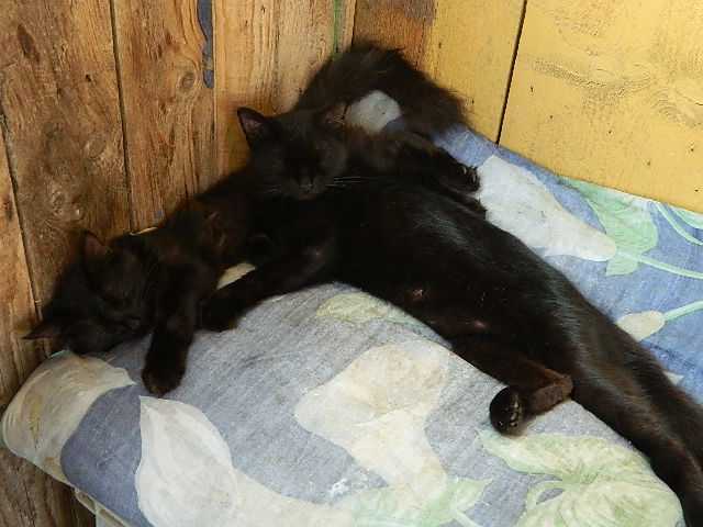 DSCN0589.JPG