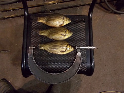 22.JPG (258.34 КБ) Просмотров: 6611 22.JPG