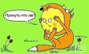 images (19).jpg
