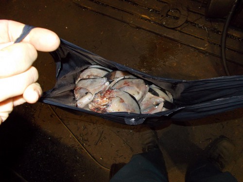 33.JPG (212.76 КБ) Просмотров: 6611 33.JPG