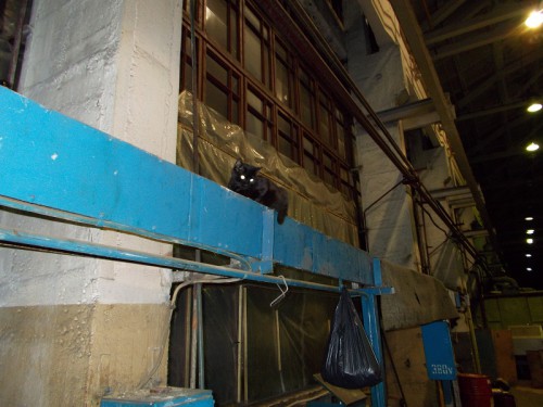 3.JPG (244.07 КБ) Просмотров: 6611 3.JPG