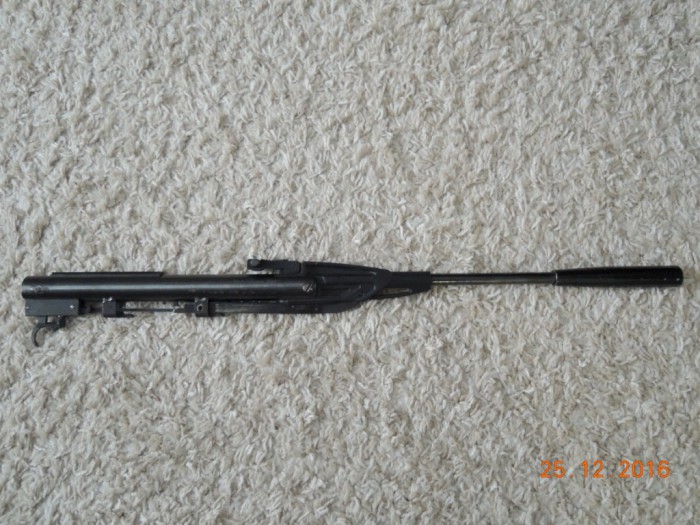 DSCN5562.JPG