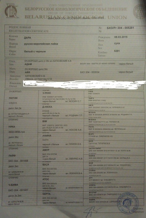 IMAG0042.jpg (1.51 МБ) Просмотров: 2149 IMAG0042.jpg