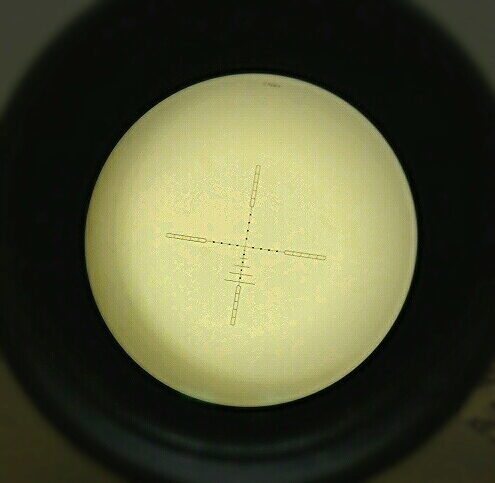 aviary-image-1495524074708.jpeg