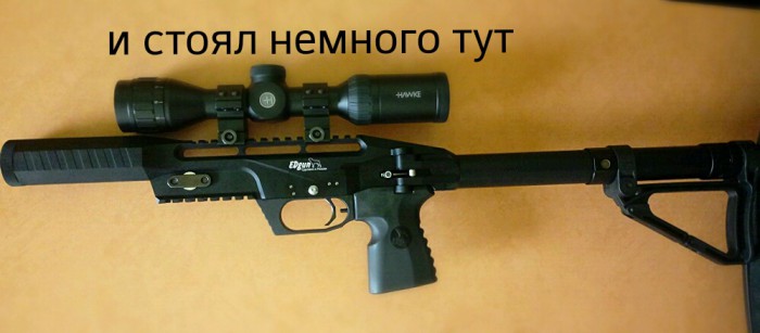 aviary-image-1495529413785.jpeg