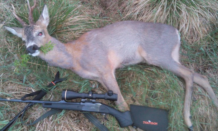 IMG_20170521_050237.jpg (870.21 КБ) Просмотров: 37599 IMG_20170521_050237.jpg