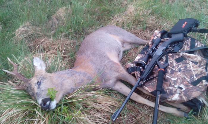 IMG_20170521_051401.jpg (997.81 КБ) Просмотров: 37576 IMG_20170521_051401.jpg