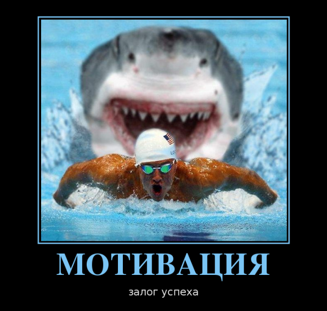 motivatio-shake.png