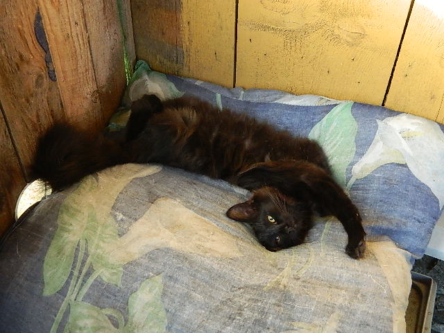 DSCN0627.JPG
