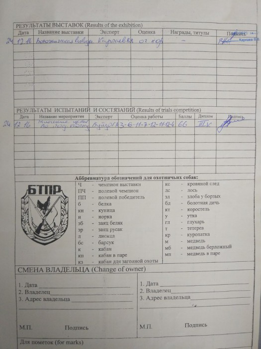 родословная АЯ1.jpg (157.99 КБ) Просмотров: 2052 родословная АЯ1.jpg