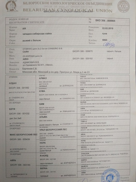 родословная АЯ.jpg (187.59 КБ) Просмотров: 2052 родословная АЯ.jpg