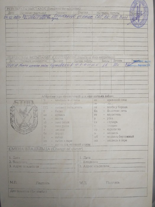 родословная Ш-Хант 1.jpg (149.27 КБ) Просмотров: 2052 родословная Ш-Хант 1.jpg