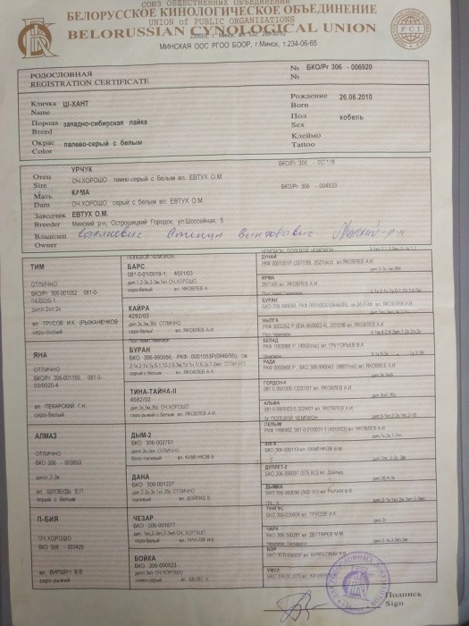 родословная Ш-Хант.jpg (213.99 КБ) Просмотров: 2052 родословная Ш-Хант.jpg