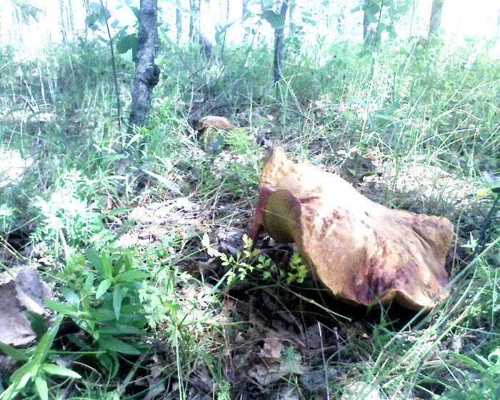 Фото 1022.jpg (493.82 КБ) Просмотров: 7582 Фото 1022.jpg