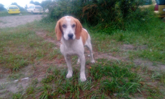 T-2ZWvhE5v0.jpg (205.24 КБ) Просмотров: 3965 T-2ZWvhE5v0.jpg