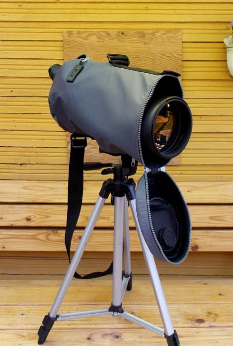 DSCN0956.JPG
