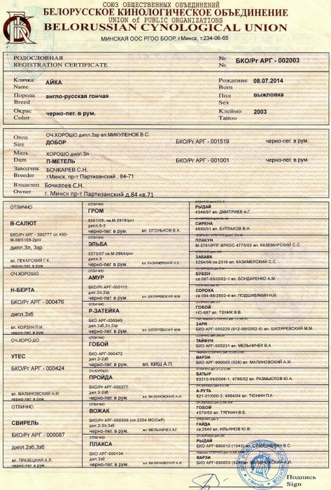 полоса1.jpg (736 КБ) Просмотров: 3644 полоса1.jpg