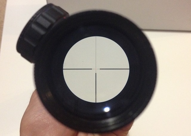 Bushnell2.JPG