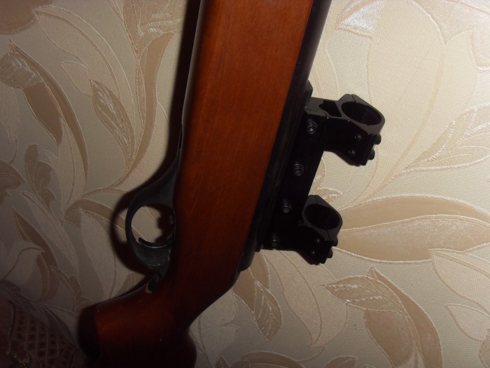 SDC11761.JPG