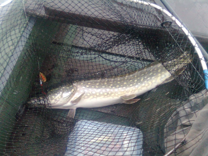 Фото0730.jpg (609.88 КБ) Просмотров: 16715 Фото0730.jpg