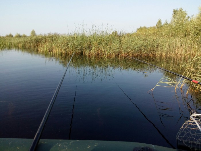 Озеро левки стародорожский район