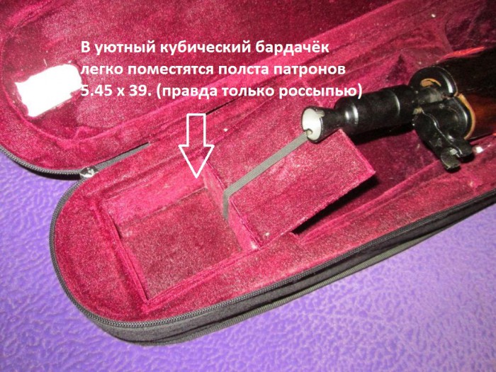 Скрипка (1).JPG
