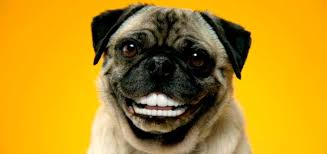 Без названия (4).jpg