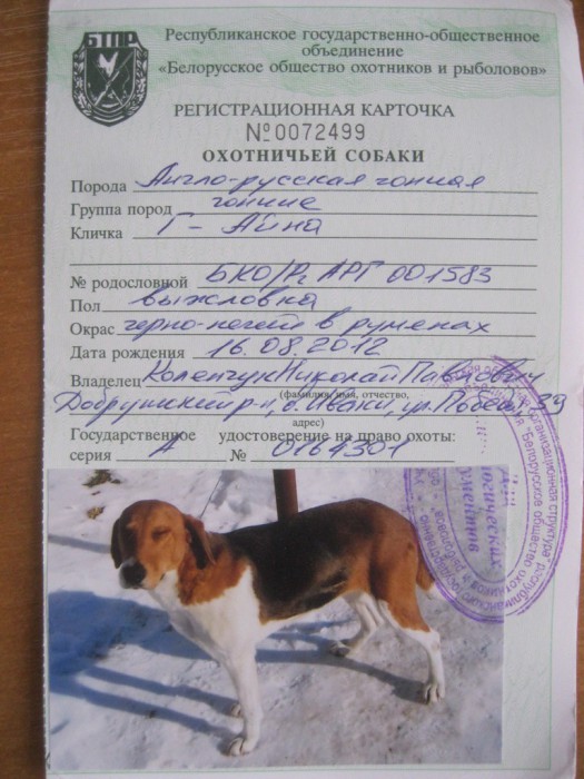 Г-Айна.jpg (210.89 КБ) Просмотров: 1929 Г-Айна.jpg