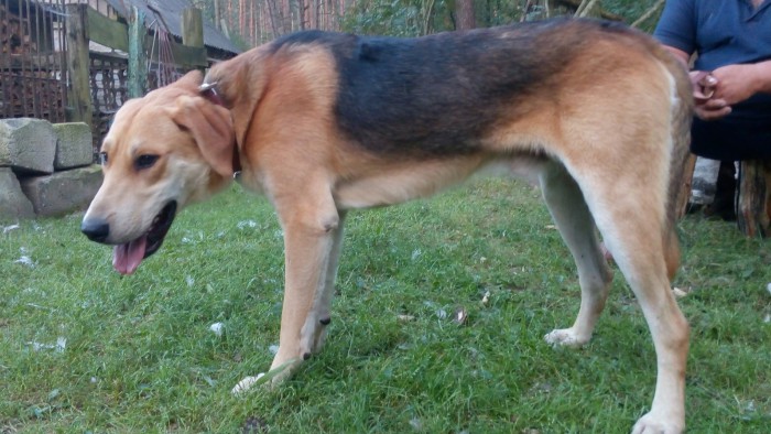 IMG_20171108_203655_974.jpg (1.68 МБ) Просмотров: 2975 IMG_20171108_203655_974.jpg