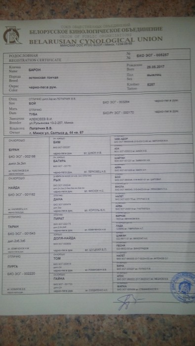 Родословная.jpg (2.03 МБ) Просмотров: 3255 Родословная.jpg