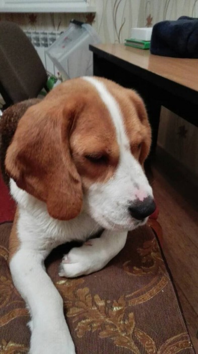 B9571351-6A8C-4423-8DCA-A92315CCE791.jpeg (143.15 КБ) Просмотров: 1398 B9571351-6A8C-4423-8DCA-A92315CCE791.jpeg