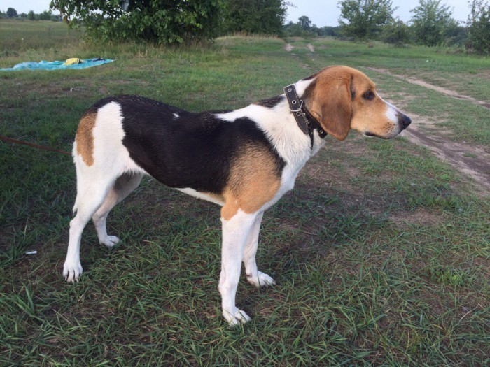 ULMuwbR4Yyo.jpg (237.48 КБ) Просмотров: 10147 ULMuwbR4Yyo.jpg