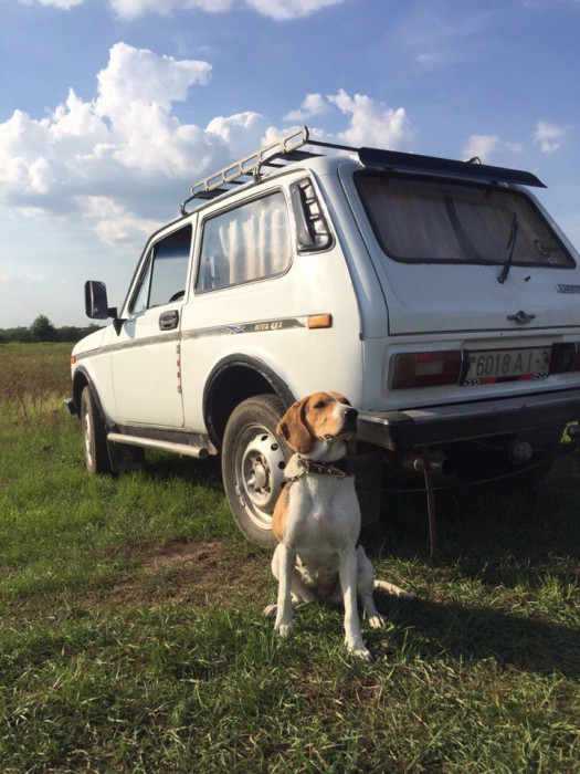 VLf_NppBMTE.jpg (182.09 КБ) Просмотров: 9479 VLf_NppBMTE.jpg