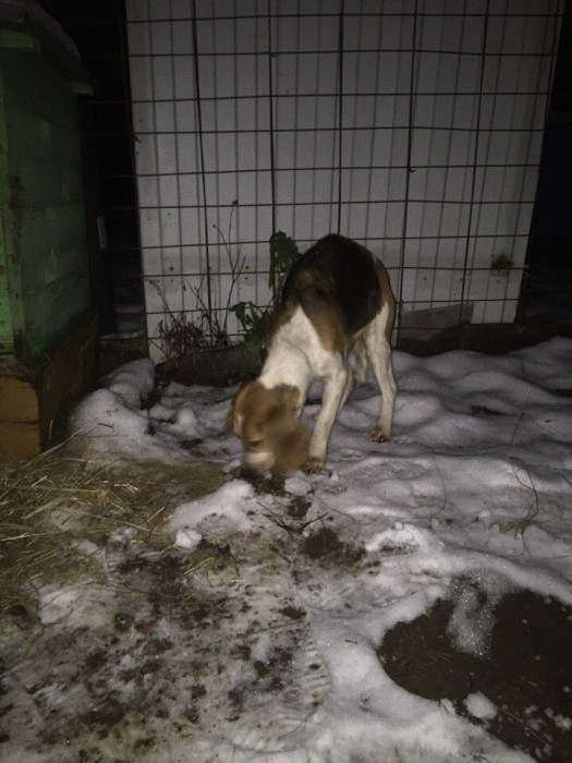 3CrReJJsPeM.jpg (146.44 КБ) Просмотров: 5114 3CrReJJsPeM.jpg