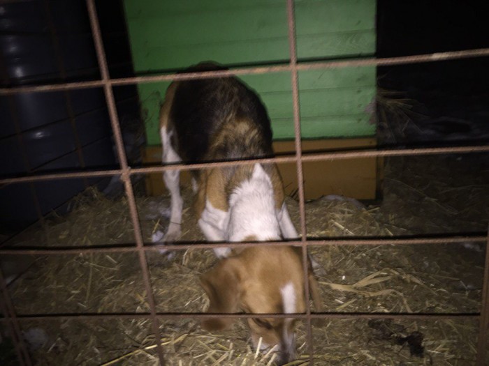 CFhPniQt3UI.jpg (118.57 КБ) Просмотров: 5114 CFhPniQt3UI.jpg