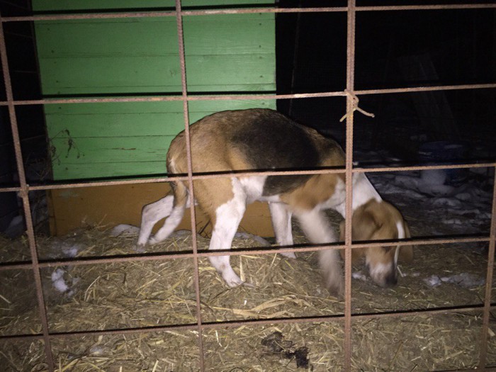 hsazIoOmlUg.jpg (169.92 КБ) Просмотров: 5114 hsazIoOmlUg.jpg