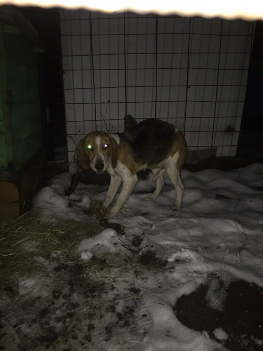 ICXg0PPCyEg.jpg (112.13 КБ) Просмотров: 5114 ICXg0PPCyEg.jpg