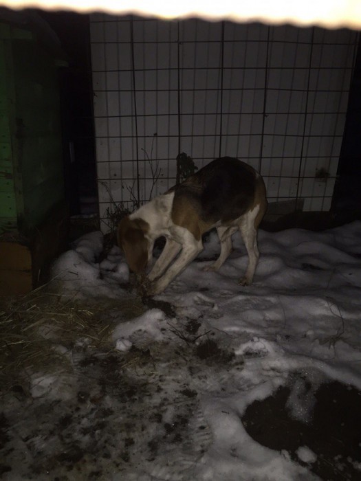 PcbE2-pg0zc.jpg (101.67 КБ) Просмотров: 5114 PcbE2-pg0zc.jpg